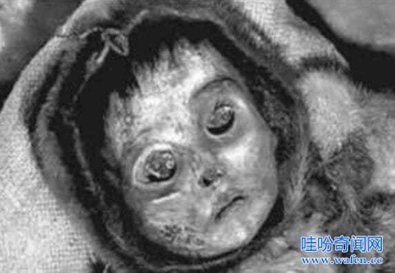 印加儿童木乃伊