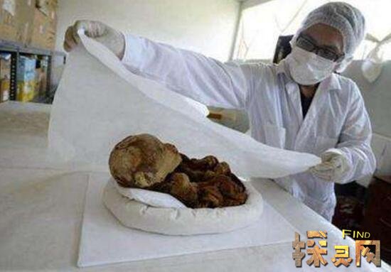 印加儿童木乃伊死亡真相曝光，生前惨遭虐待活埋献祭给神灵