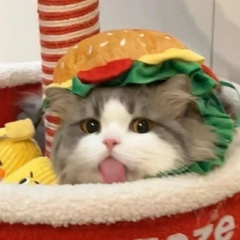 头像